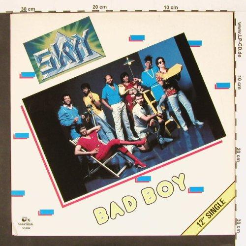 Bad Boy  singel 12'